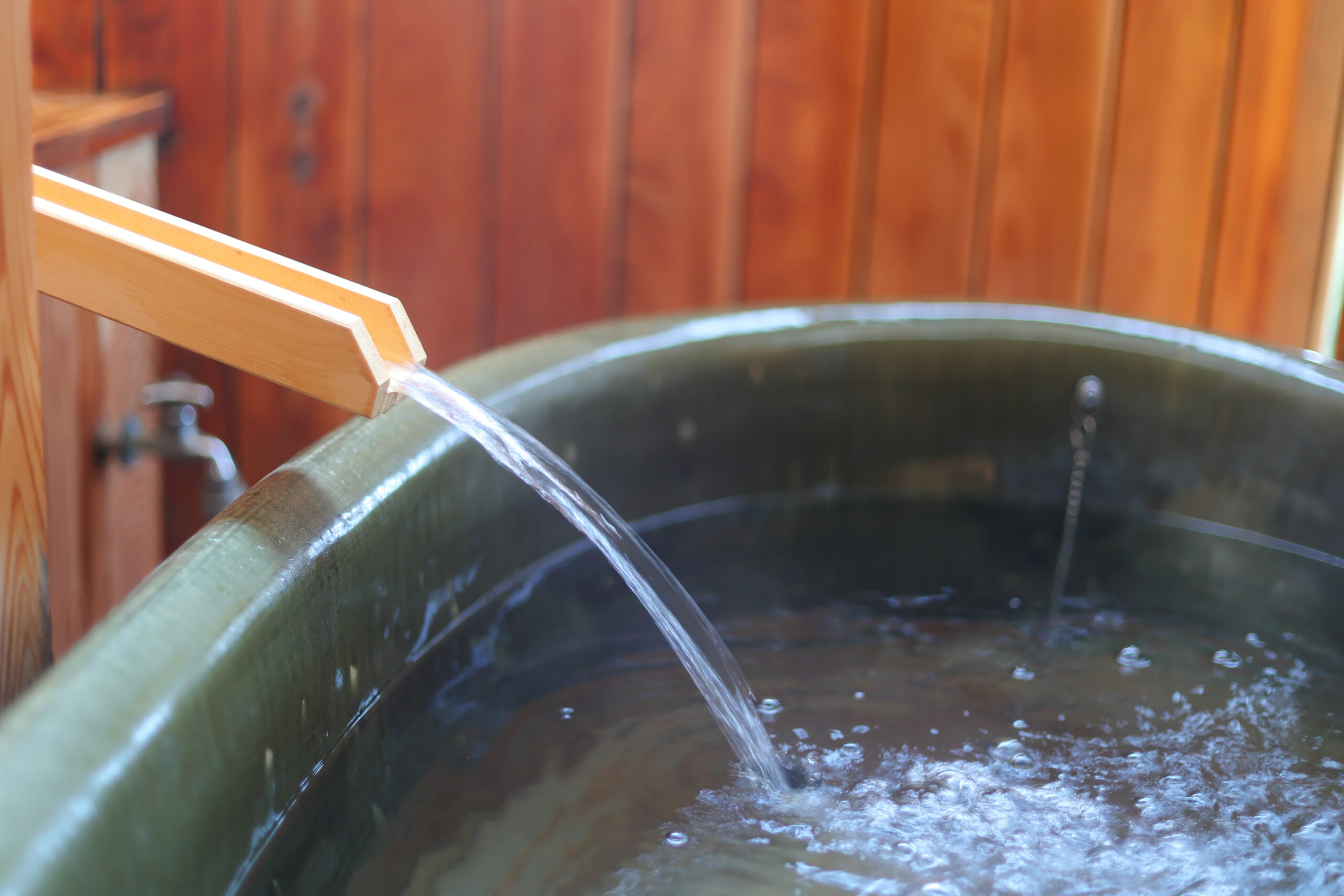 Image of Japanese-style room with open-air bath